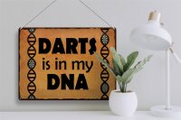 Blechschild Spruch 40x30cm Darts is in my DANN
