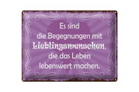 Blechschild Spruch 40x30cm Begegnungen Lieblingsmenschen