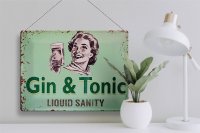Blechschild Alkohol 40x30cm Gin & Tonic liquid sanity