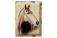 Blechschild Retro 30x40cm Portrait Pferd Kopf