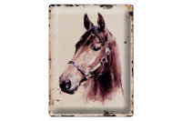 Blechschild Retro 30x40cm Portrait Pferd Kopf Schild