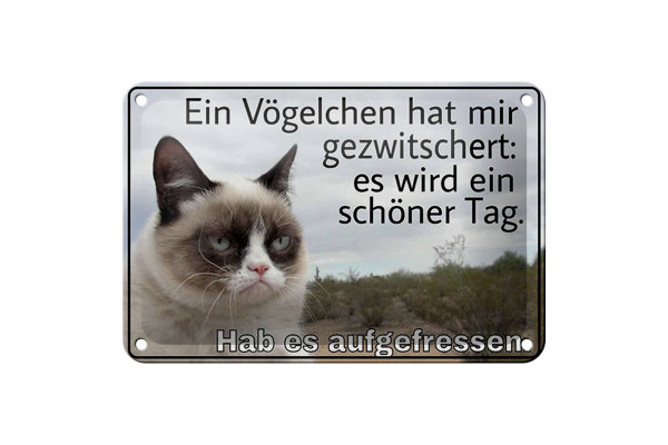 Blechschild Spruch 18x12cm Katze Vögelchen gezwitschert