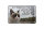 Blechschild Spruch 18x12cm Katze Vögelchen gezwitschert
