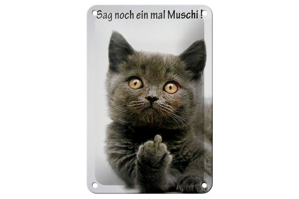Blechschild Spruch 12x18cm Katze sag noch ein mal Muschi