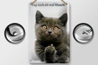Blechschild Spruch 12x18cm Katze sag noch ein mal Muschi
