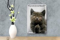 Blechschild Spruch 12x18cm Katze sag noch ein mal Muschi