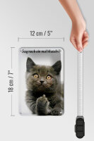 Blechschild Spruch 12x18cm Katze sag noch ein mal Muschi