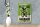Blechschild Fahrrad 12x18cm the Manx missile Mark Cavendish