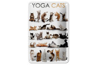 Blechschild Tiere 12x18cm Yoga Cats Katzen Schild