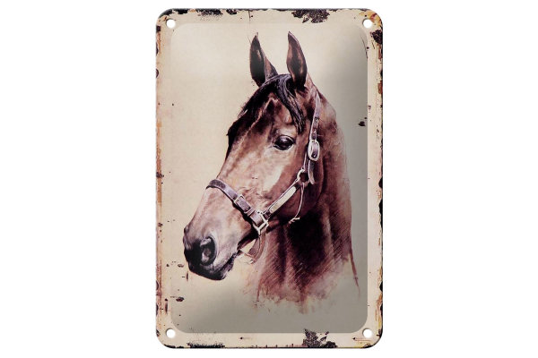 Blechschild Retro 12x18cm Portrait Pferd Kopf Schild