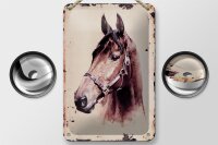 Blechschild Retro 12x18cm Portrait Pferd Kopf Schild