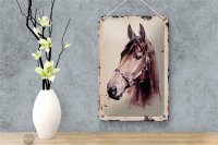 Blechschild Retro 12x18cm Portrait Pferd Kopf Schild