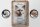 Blechschild Spruch 12x18cm Birma Katze klug Schild