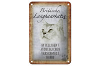 Blechschild Spruch 12x18cm britische Langhaarkatze Schild
