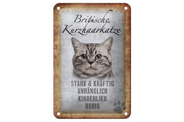 Blechschild Spruch 12x18cm britische Kurzhaarkatze Schild