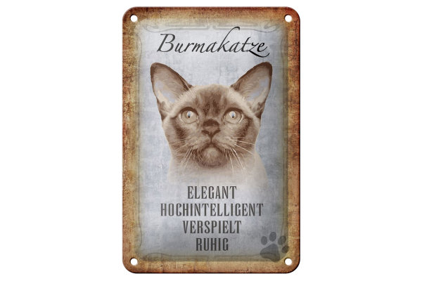 Blechschild Spruch 12x18cm Burmakatze Katze Schild