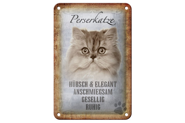 Blechschild Spruch 12x18cm Perserkatze Katze hübsch
