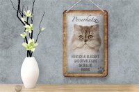 Blechschild Spruch 12x18cm Perserkatze Katze hübsch