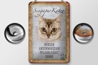 Blechschild Spruch 12x18cm Singapur Katze Schild