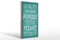 Holzschild Spruch 20x30cm Wenn du Vertrauen eines Pferd