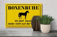 Holzschild Hinweis 30x20cm Boxenruhe nicht auf die Weide Pferd