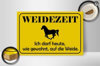Holzschild Hinweis 30x20cm Weidezeit Pferd
