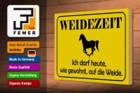 Holzschild Hinweis 30x20cm Weidezeit Pferd