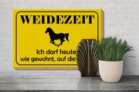 Holzschild Hinweis 30x20cm Weidezeit Pferd