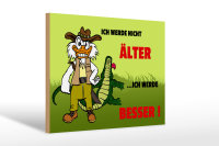 Holzschild Spruch 30x20cm Werde nicht älter werde besser