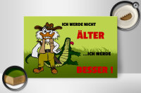 Holzschild Spruch 30x20cm Werde nicht älter werde besser