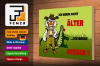 Holzschild Spruch 30x20cm Werde nicht älter werde besser
