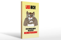 Holzschild Spruch 20x30cm Lass mich Muss mich da reinsteigern