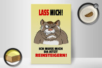 Holzschild Spruch 20x30cm Lass mich Muss mich da reinsteigern