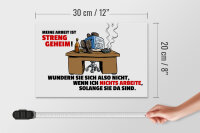 Holzschild Spruch 30x20cm Meine Arbeit ist streng geheim