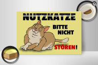 Holzschild Spruch 30x20cm Nutzkatze bitte nicht stören