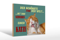 Holzschild Spruch 30x20cm Schönste Ton ist Katzenschnurren
