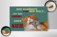 Holzschild Spruch 30x20cm Schönste Ton ist Katzenschnurren