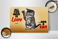 Holzschild Spruch 30x20cm All you need is love and a cat