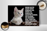 Holzschild Spruch 30x20cm Katze guckt mich komisch an
