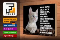 Holzschild Spruch 30x20cm Katze guckt mich komisch an