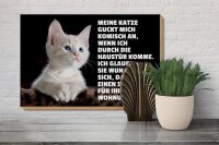 Holzschild Spruch 30x20cm Katze guckt mich komisch an