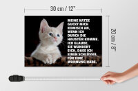 Holzschild Spruch 30x20cm Katze guckt mich komisch an