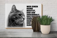 Holzschild Spruch 30x20cm Hund himmelt an Kater ignoriert