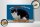 Holzschild Spruch 30x20cm Ohne Katze kein Zuhause