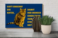 Holzschild Spruch 30x20cm Katze Tiger zum streicheln