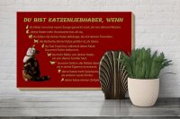 Holzschild Spruch 30x20cm du bist Katzenliebhaber wenn