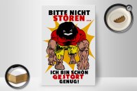 Holzschild Spruch 20x30cm Nicht stören bin gestört genug
