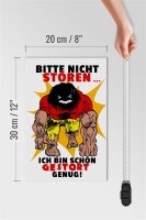 Holzschild Spruch 20x30cm Nicht stören bin gestört genug