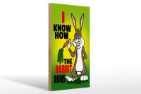 Holzschild Spruch 20x30cm I know how the rabbit runs Hase