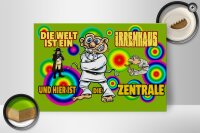 Holzschild Spruch 30x20cm Welt ist Irrenhaus hier ist Zentrale